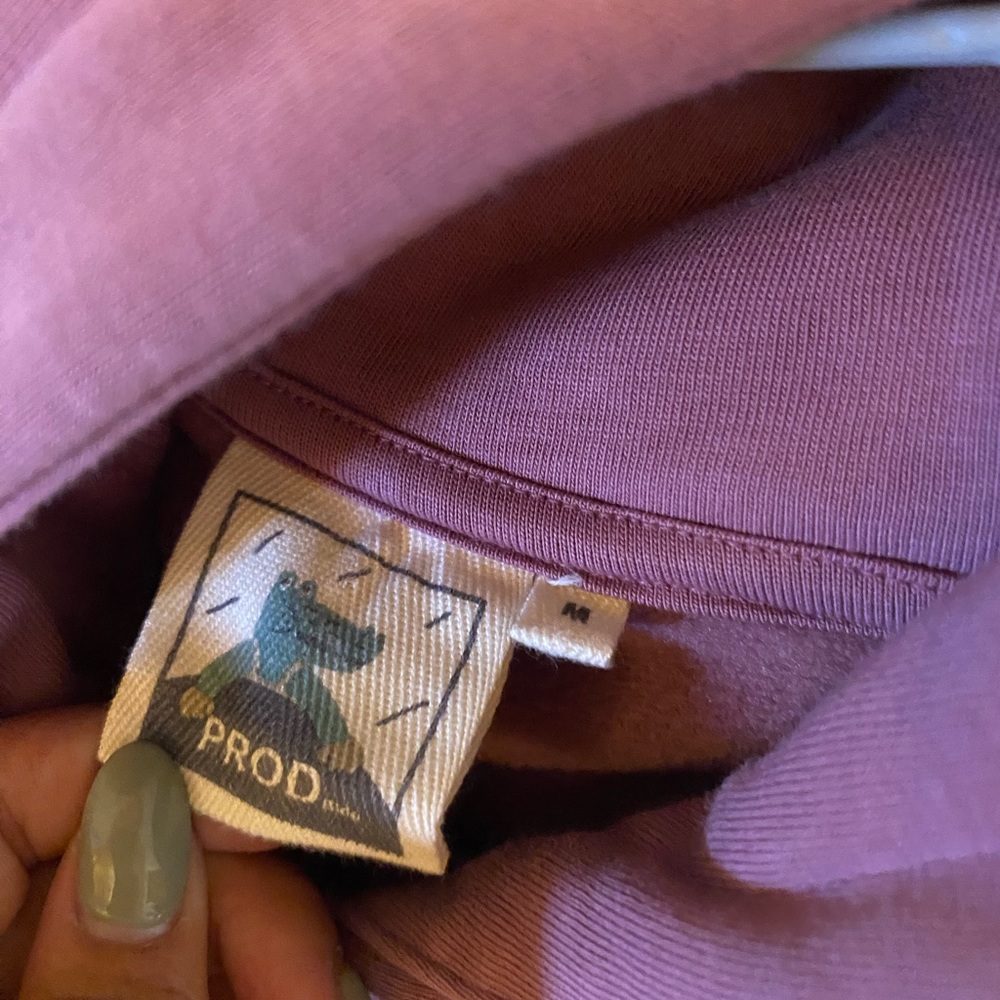 PROD bldg goose hoodie